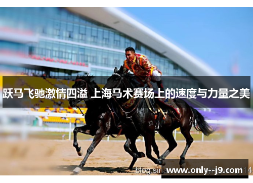 跃马飞驰激情四溢 上海马术赛场上的速度与力量之美