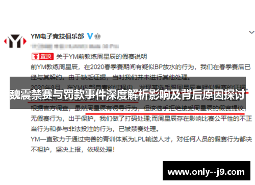 魏震禁赛与罚款事件深度解析影响及背后原因探讨