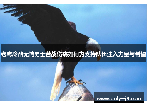 老鹰冷酷无情勇士苦战伤痛如何为支持队伍注入力量与希望
