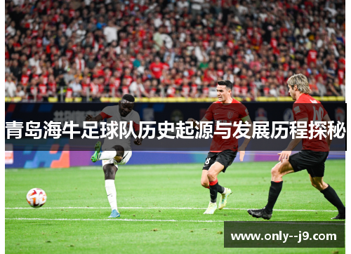青岛海牛足球队历史起源与发展历程探秘