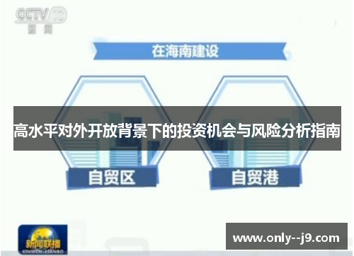 高水平对外开放背景下的投资机会与风险分析指南