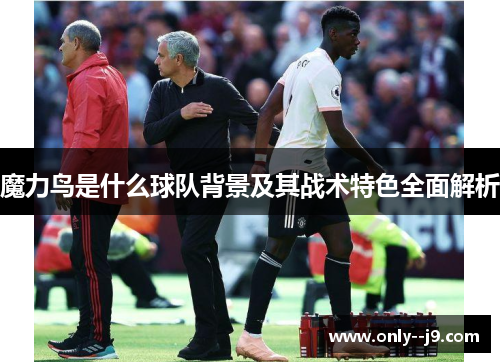 魔力鸟是什么球队背景及其战术特色全面解析
