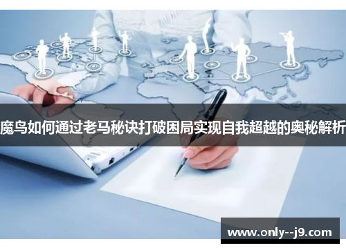 魔鸟如何通过老马秘诀打破困局实现自我超越的奥秘解析
